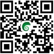 飞鼠网简介（活动、福利、玩法）