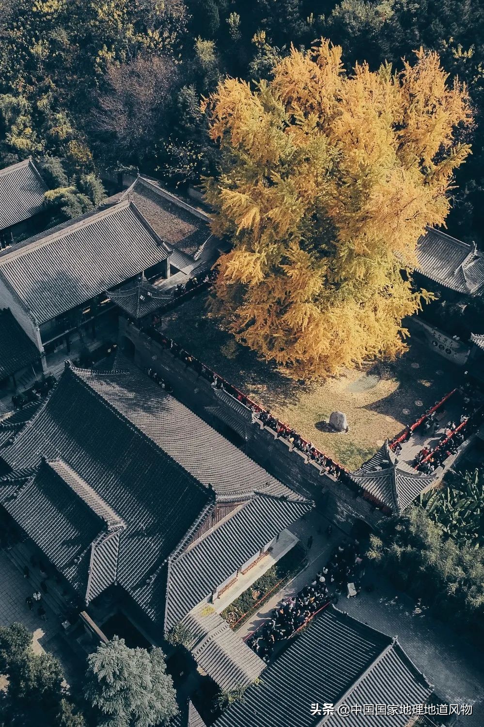 秦岭,凭什么能定义中国?