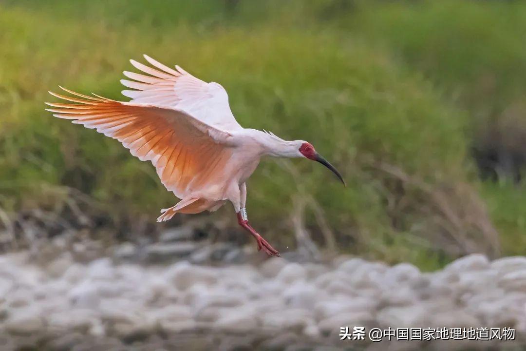 秦岭，凭什么能定义中国？