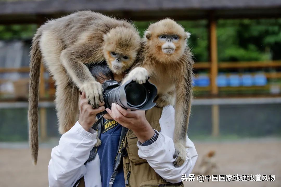 秦岭,凭什么能定义中国?