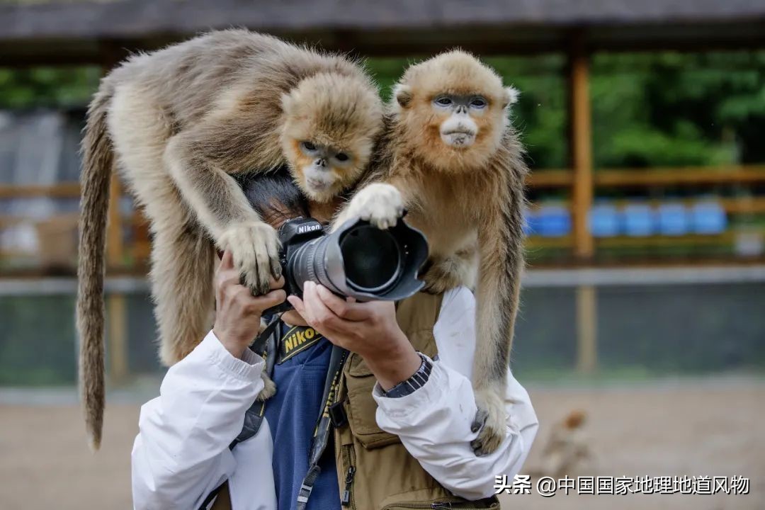 秦岭，凭什么能定义中国？