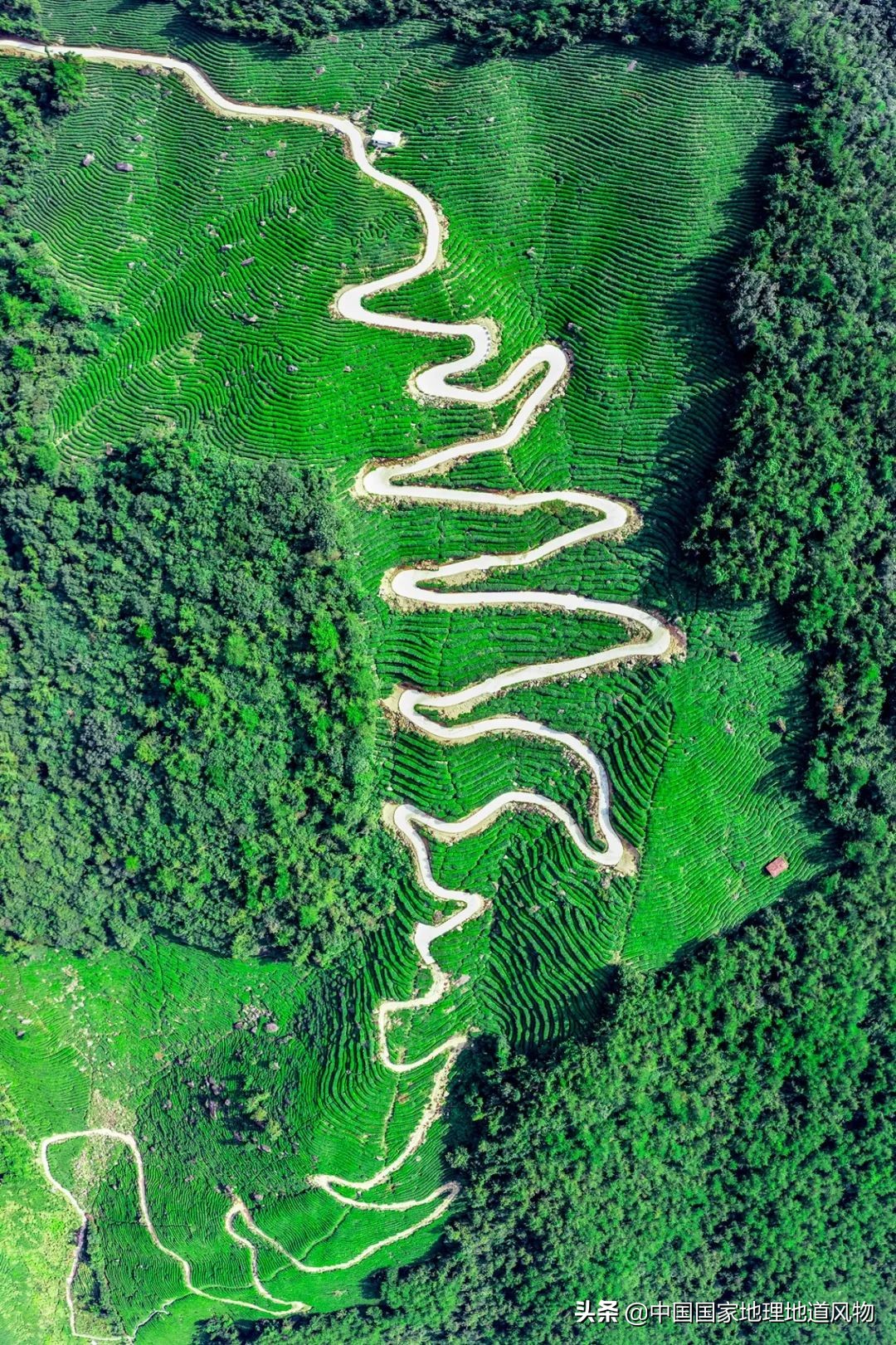 秦岭,凭什么能定义中国?