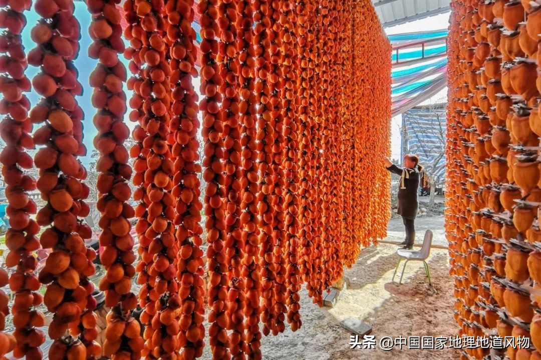 秦岭,凭什么能定义中国?