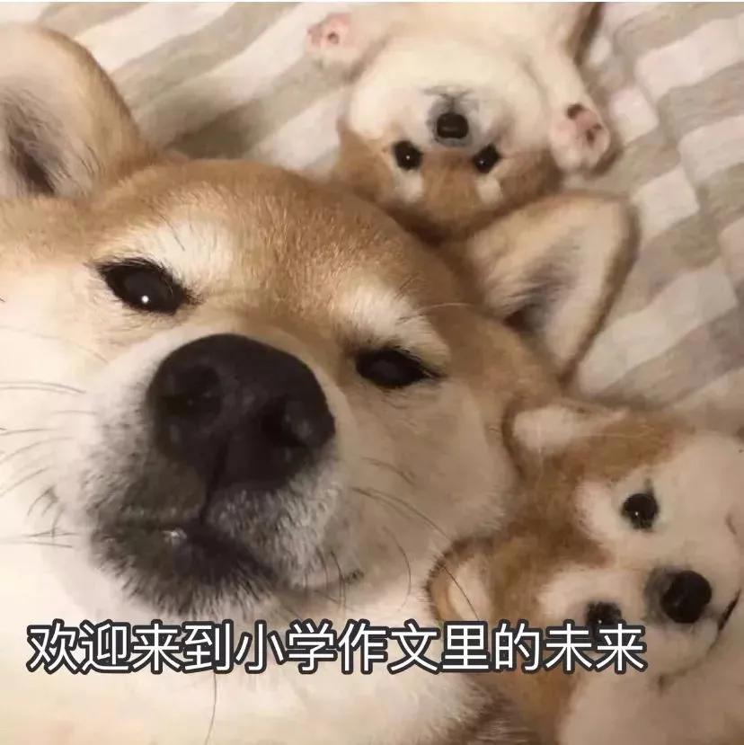跨年朋友圈发什么?进来收图