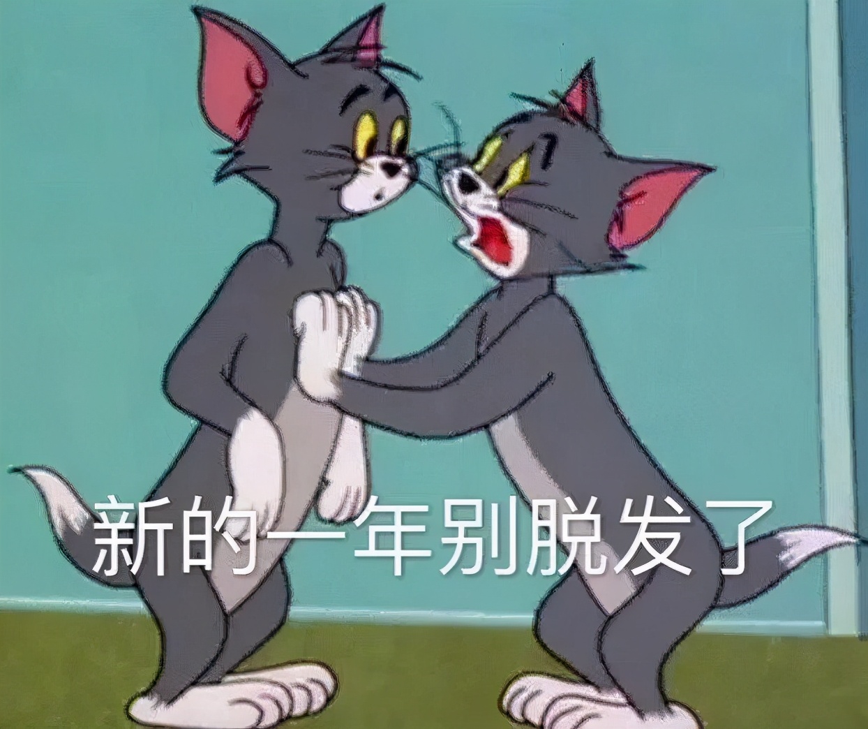 跨年朋友圈发什么?进来收图