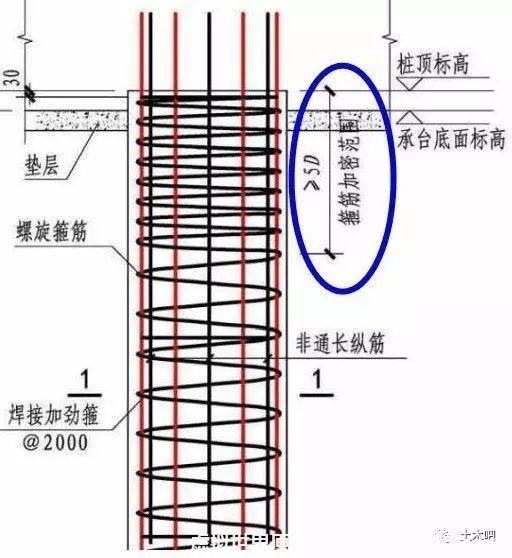 桩顶箍筋为什么要加密呢？