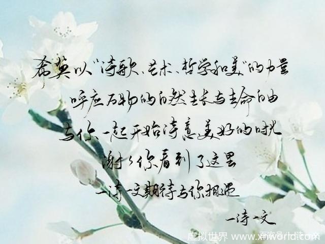 既许一人以偏爱,愿尽余生之慷慨 美诗送给你 ~