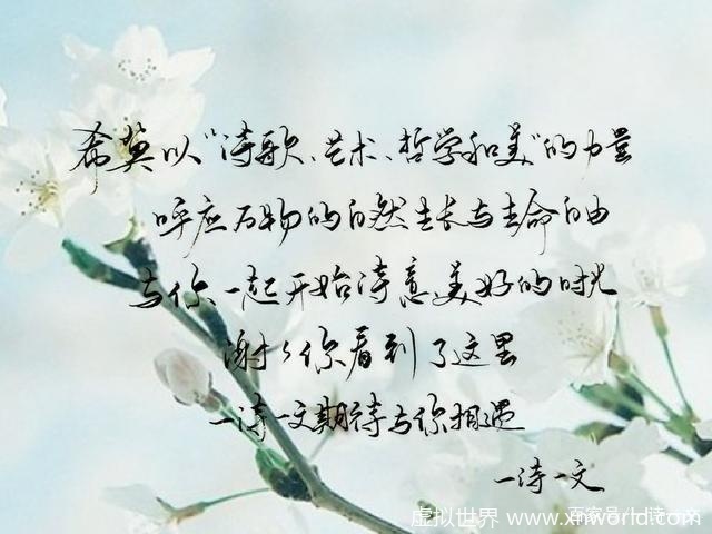 既许一人以偏爱，愿尽余生之慷慨 美诗送给你 ~