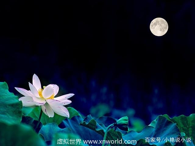 “春宵一刻值千金,花有清香月有阴”是什么意思?出自哪里?