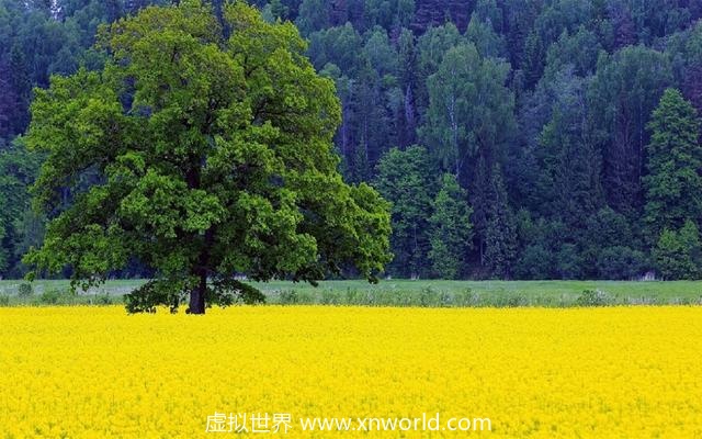 李白:“今人不见古时月,今月曾经照古人”是什么意思?出自哪里?