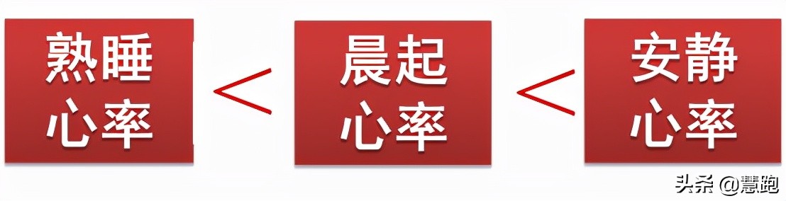 经常跑步的人，安静时心率低，是减寿还是更长寿呢？