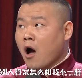 这回复太有道理了,墙都不扶就服你