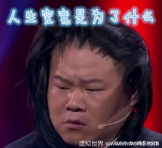这回复太有道理了,墙都不扶就服你