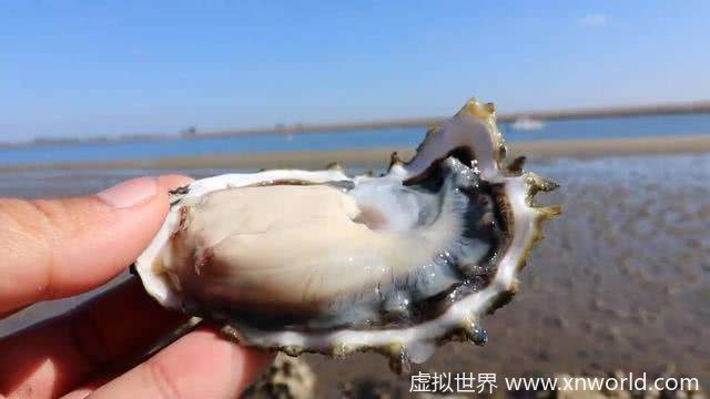 精尽人亡是真的还是假的？男性养精可以多食用这些食物