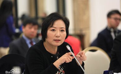 龙湖集团董事会主席吴亚军个人简介