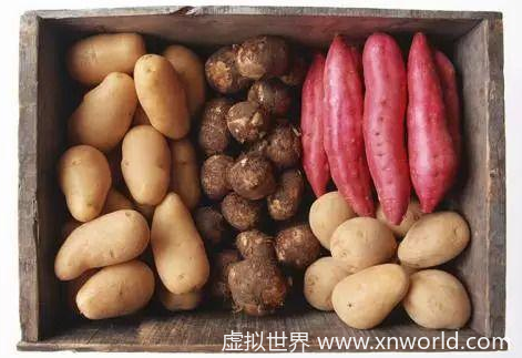 经常拉肚子怎么调理肠胃
