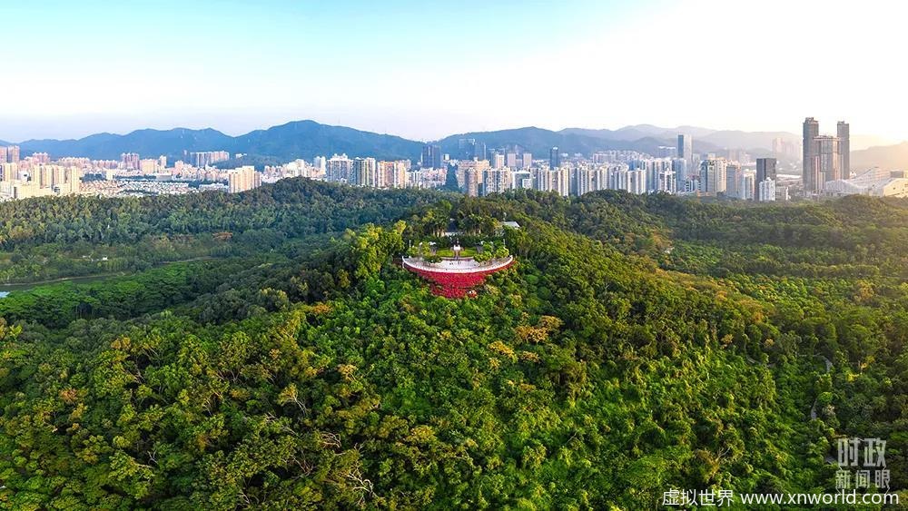 十九届六中全会审议通过重磅决议,发布了哪些重要内容 ?