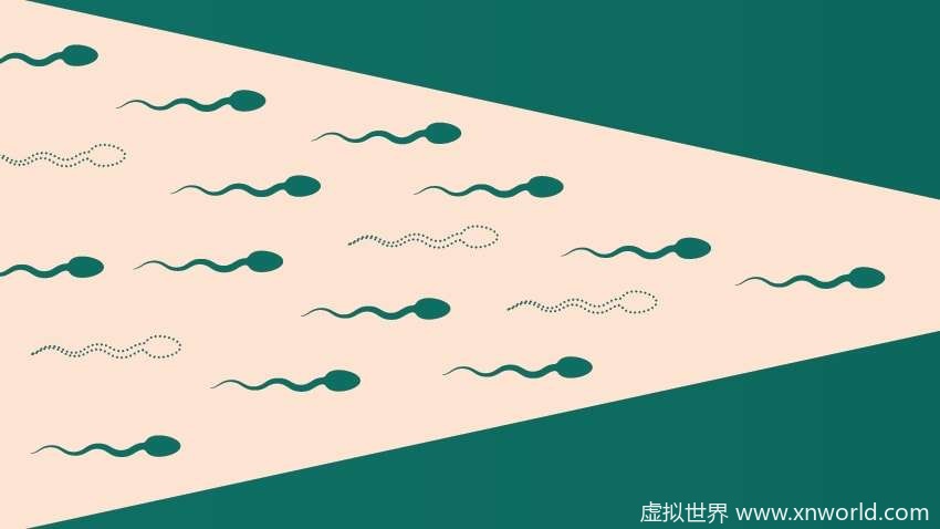 精尽人亡是真的还是假的？男性养精可以多食用这些食物