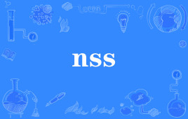 “nss”是什么意思？什么梗？