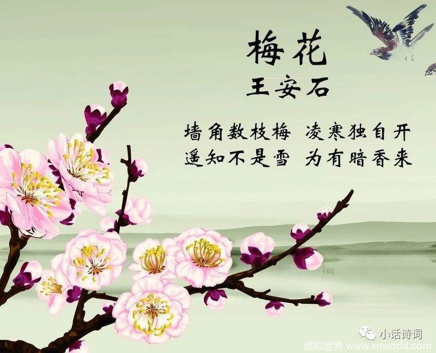 “遥知不是雪，为有暗香来”是什么意思？出自哪里？怎么翻译？