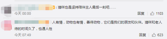石家庄一老人病逝后,猫咪两天不吃不喝身亡【令人泪目】