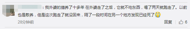 石家庄一老人病逝后,猫咪两天不吃不喝身亡【令人泪目】