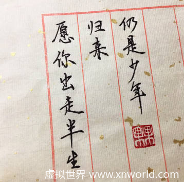 “愿你出走半生，归来仍是少年”是什么意思？怎么理解？