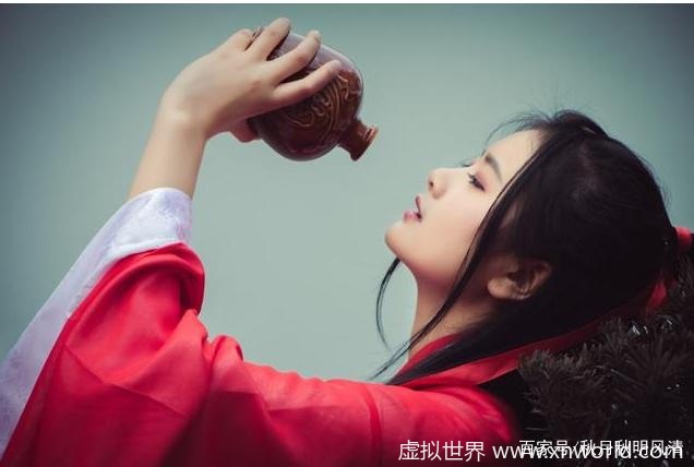 “我有一壶酒,足以慰风尘。” 是什么意思?怎么理解?