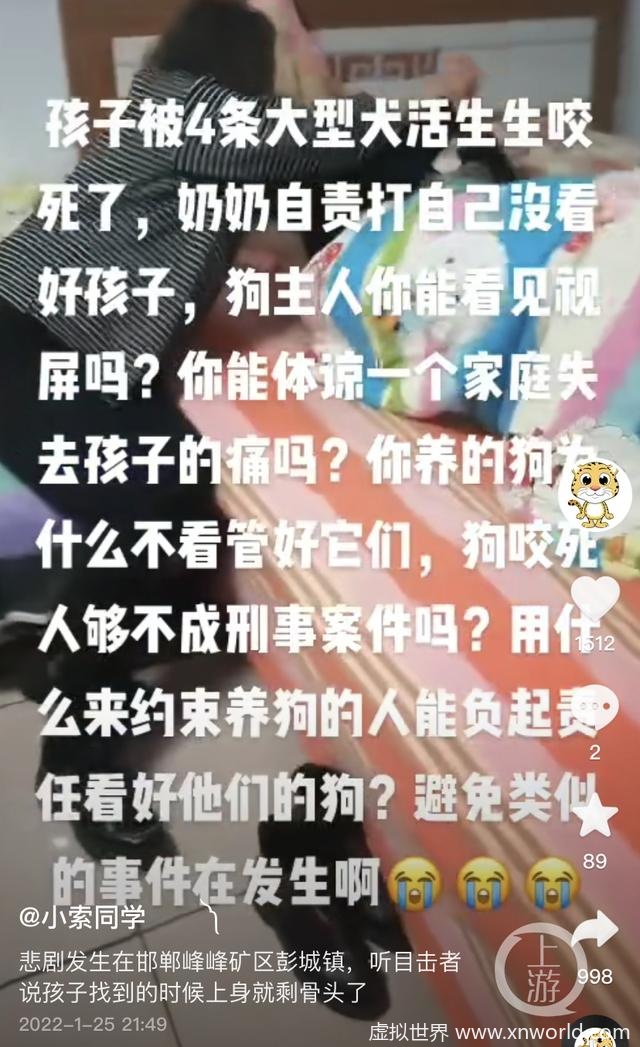 河北13岁男孩失联3天被找到,当地警方:遭4条恶犬咬死【爱狗人士怎么看?】