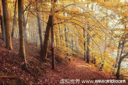 “秋风生渭水,落叶满长安”是什么意思?【醉美了整个秋天!】