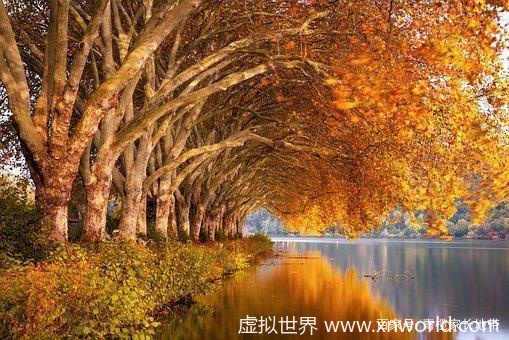 “秋风生渭水,落叶满长安”是什么意思?【醉美了整个秋天!】