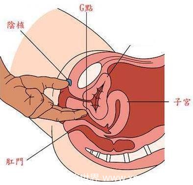 女生说丢了是什么意思？女人的高潮隐语你知道多少？