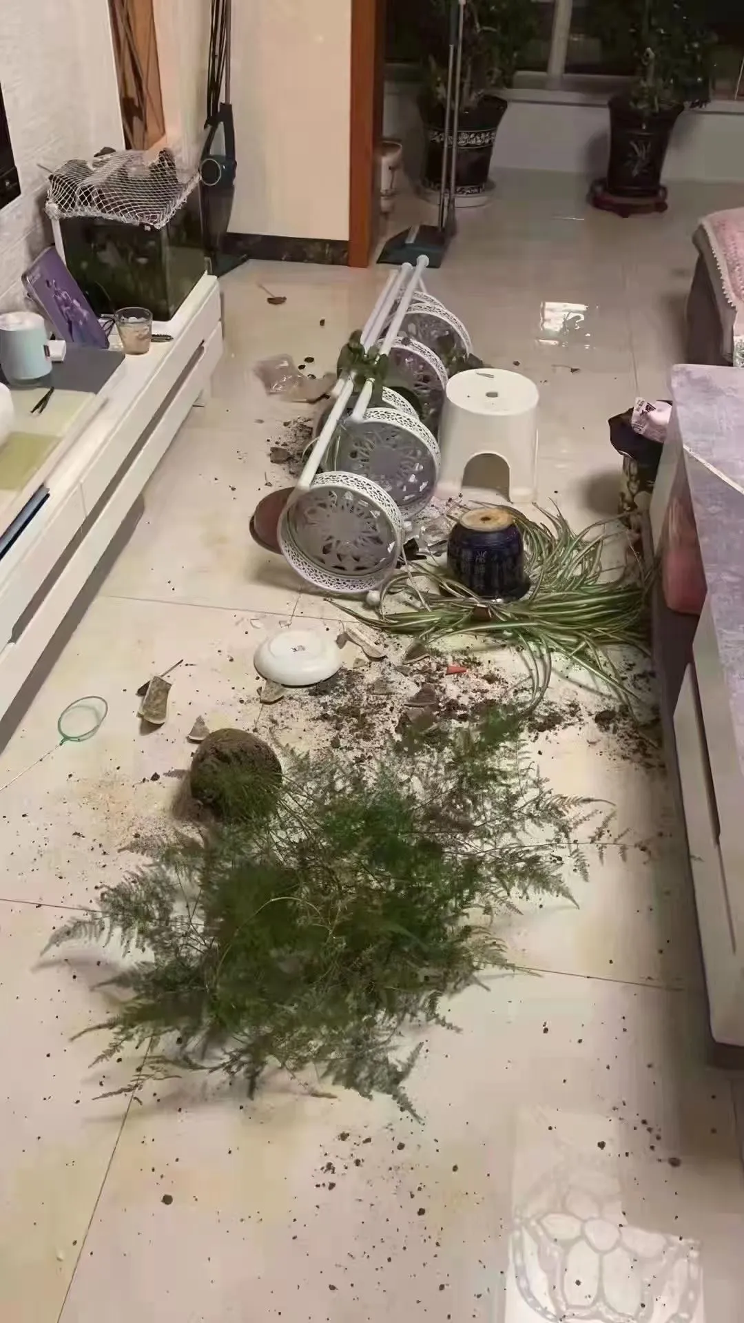网友经历青海地震:以为爆炸了【亲身经历】