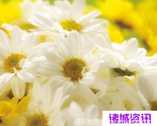 多领域博士热议内卷原因，咋么回事儿？