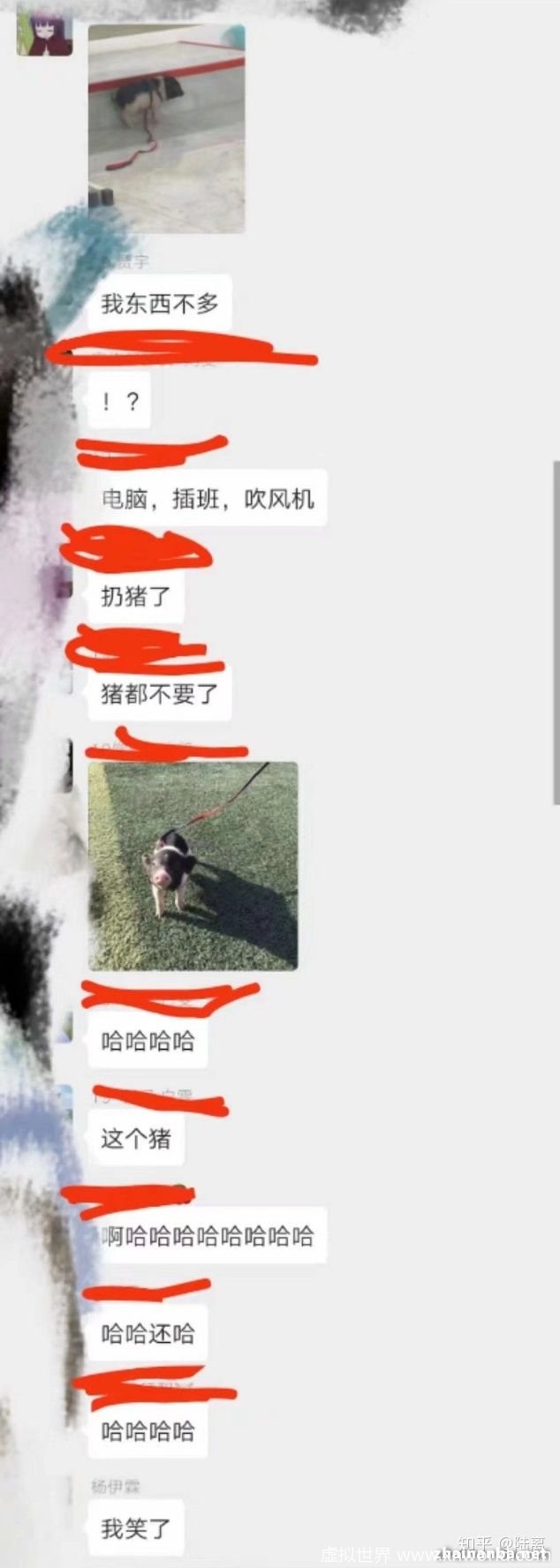 表情包 网络流行语 有内鬼，终止交易 