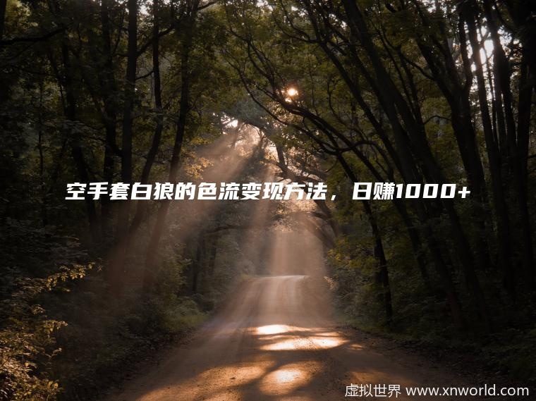 色流变现方法大全！ 日赚1000+【空手套白狼 】