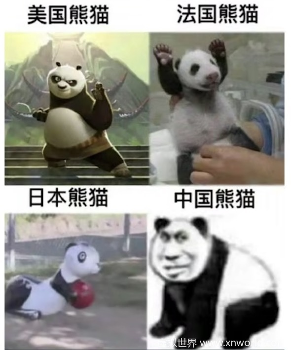 铁憨憨是什么意思的照片