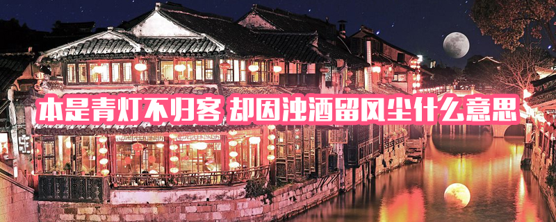 “本是青灯不归客，却因浊酒留风尘”是什么意思？ – 【最新网络热词】