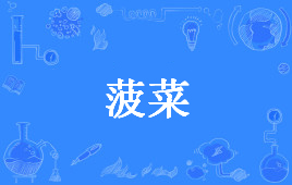 【网络用语】“菠菜”是什么意思？ – 【最新网络热词】