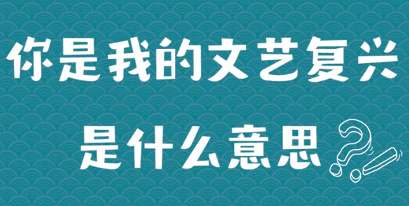 【网络用语】“你是我的文艺复兴”是什么意思？