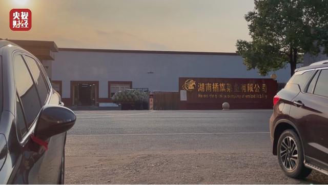 【315曝光】 老坛酸菜包在土坑腌制(过程全曝光)