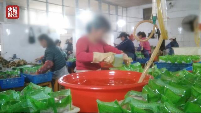 【315曝光】 老坛酸菜包在土坑腌制(过程全曝光)