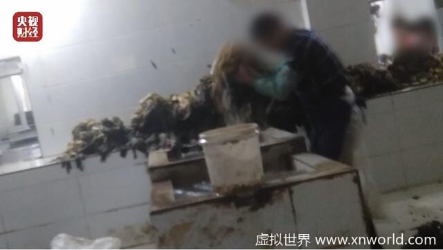 【315曝光】 老坛酸菜包在土坑腌制(过程全曝光)