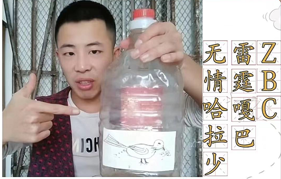 【网络用语】“无情哈拉少,雷霆嘎巴,ZBC”是什么意思？ – 【最新网络热词】