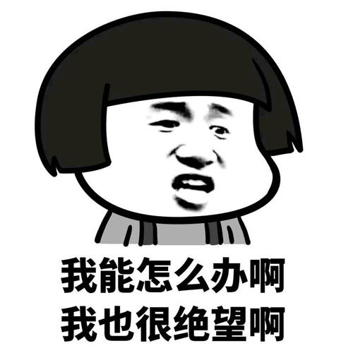 “我能怎么办啊我也很绝望啊”是什么意思？ – 【最新网络热词】