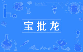 【网络用语】“宝批龙”是什么意思？ – 【最新网络热词】