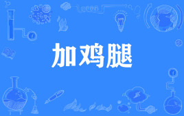 【网络用语】“加鸡腿”是什么意思？ – 【最新网络热词】