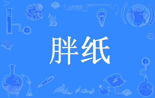 【网络用语】“胖纸”是什么意思？ – 【最新网络热词】