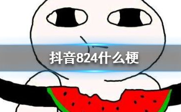 【网络用语】“824”是什么梗？ – 【最新网络热词】