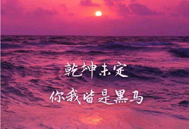 “乾坤未定，你我皆是黑马”是什么意思？ – 【最新网络热词】